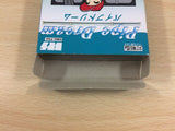 UB8458 Pipe Dream Mania BOXED GameBoy Game Boy Japan