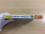 BIO HAZARD RESIDENT EVIL 5 PS3 Japan - UD3009