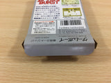 After Burst BOXED GameBoy Game Boy Japan - UD6901