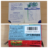 Teenage Mutant Ninja Turtles TMNT 3 BOXED GameBoy Game Boy Japan - UB6574