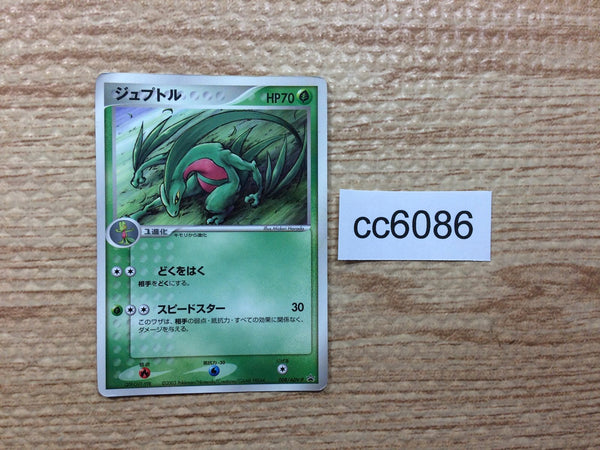 cc6086 Grovyle Grass PROMO PROMO 008/ADV-P Pokemon Card TCG Japan