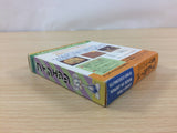 The Fidgetts BOXED GameBoy Game Boy Japan - UC2818