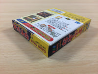 df1715 Nazo Puyo Arle no Ruu BOXED Sega Game Gear Japan