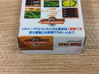 dh9817 Scratch Golf BOXED Sega Game Gear Japan