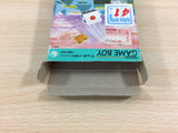 Koro Dice BOXED GameBoy Game Boy Japan - UD7285