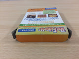 The Fidgetts BOXED GameBoy Game Boy Japan - UC2818