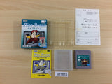 Pipe Dream Mania BOXED GameBoy Game Boy Japan - UD1815