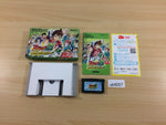 UB4227 Eyeshield 21 Devilbats Devildays BOXED GameBoy Advance Japan