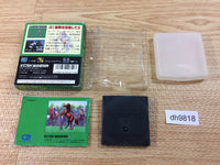 dh9818 World Derby BOXED Sega Game Gear Japan
