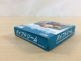 Pipe Dream Mania BOXED GameBoy Game Boy Japan - UD1815