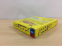 ub6576 Tail Gator Shippo de Bun BOXED GameBoy Game Boy Japan