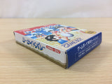 Sea Side Valley Ball BOXED GameBoy Game Boy Japan - UC3552