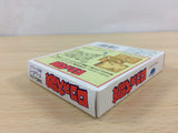Adventures of Lolo Lolo no Daibouken BOXED GameBoy Game Boy Japan - UB9955