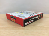 DG4836 Tekken Card Challenge BOXED Wonder Swan Bandai Japan
