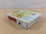Adventures of Lolo Lolo no Daibouken BOXED GameBoy Game Boy Japan - UB9955