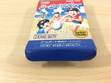 Sea Side Valley Ball BOXED GameBoy Game Boy Japan - UC3552