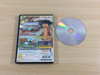 UD5807 Dragonball Z PS2 Japan