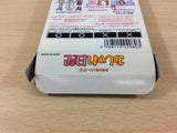 Oshare Nikki BOXED GameBoy Game Boy Japan - UC6363