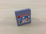 Sea Side Valley Ball BOXED GameBoy Game Boy Japan - UC3552