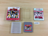 Vitamina Oukoku Monogatari BOXED GameBoy Game Boy Japan - UB8461