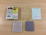 Vitamina Oukoku Monogatari BOXED GameBoy Game Boy Japan - UB8461