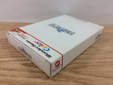 DI3982 Final Fantasy I BOXED Wonder Swan Bandai Japan