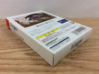DI3982 Final Fantasy I BOXED Wonder Swan Bandai Japan