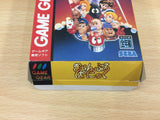 Gamble Panic BOXED Sega Game Gear Japan - DG6674