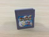 Tsuri Sensei Fishing BOXED GameBoy Game Boy Japan - UC1283
