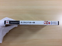 UD4015 LANGRISSER III 3 PS2 Japan