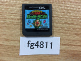 Freshly Picked Tingle's Rosy Rupeeland Nintendo DS Japan - FG4811