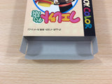Ferret Monogatari BOXED GameBoy Game Boy Japan - UC5676