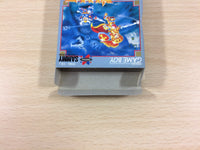 ub1667 Rolan's Curse Velious Roland no Majuu BOXED GameBoy Game Boy Japan