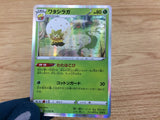 Eldegoss Grass R S6a 010/069 Pokemon Card TCG Japan - CA5693