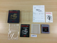 UB6673 Wizardry Gaiden II 2 BOXED GameBoy Game Boy Japan