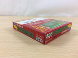 Tecmo Bowl American football BOXED GameBoy Game Boy Japan - UC5420