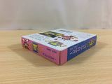 ua9903 Astro Rabby BOXED GameBoy Game Boy Japan