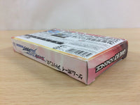 UC8731 Final Fire Pro Wrestling BOXED GameBoy Advance Japan