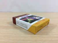 ub7385 The Mysterious Murasame Castle BOXED GameBoy Advance Japan
