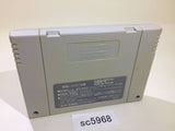SC5968 Hanjuku Hero SNES Super Famicom Japan