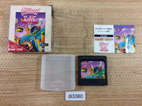 DI3380 Fantasy Zone Gear Opa-Opa Jr. no Bouken BOXED Sega Game Gear Japan