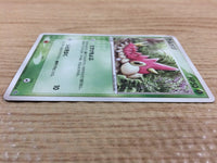 ca7362 Wurmple Grass Common ADV3 003/054 Pokemon Card TCG Japan
