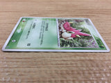 ca7362 Wurmple Grass Common ADV3 003/054 Pokemon Card TCG Japan
