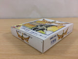 Hiryu no Ken Gaiden BOXED GameBoy Game Boy Japan - UB8664