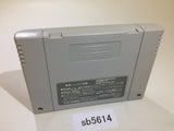 Sonic Wings Aero Fighters SNES Super Famicom Japan - SB5614