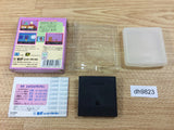 dh9823 Mickey Mouse no Castle Illusion BOXED Sega Game Gear Japan