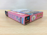 Royal Stone Hirakareshi Toki no Tobira BOXED Sega Game Gear Japan - DG8777