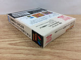 DI3381 Fantasy Zone Gear Opa-Opa Jr. no Bouken BOXED Sega Game Gear Japan