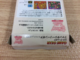 DI3381 Fantasy Zone Gear Opa-Opa Jr. no Bouken BOXED Sega Game Gear Japan