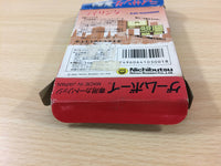 UC5549 Ray Thunder BOXED GameBoy Game Boy Japan